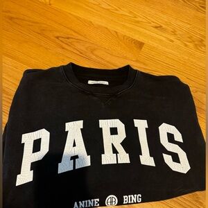 Anine bing sweatshirt
